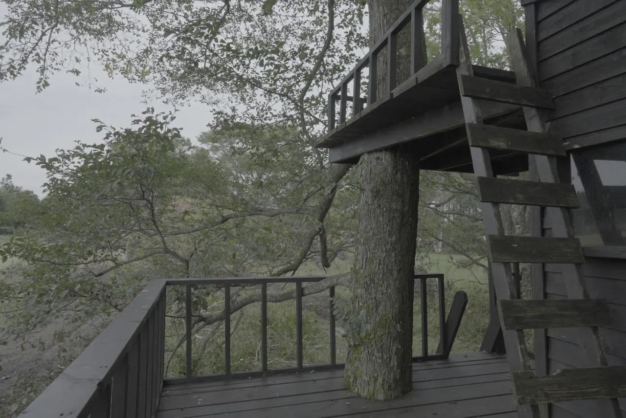 小さな森の貸し切り宿forest-House-Ranapirica Shibetsu  Shibetsu (Nemuro, Hokkaido)