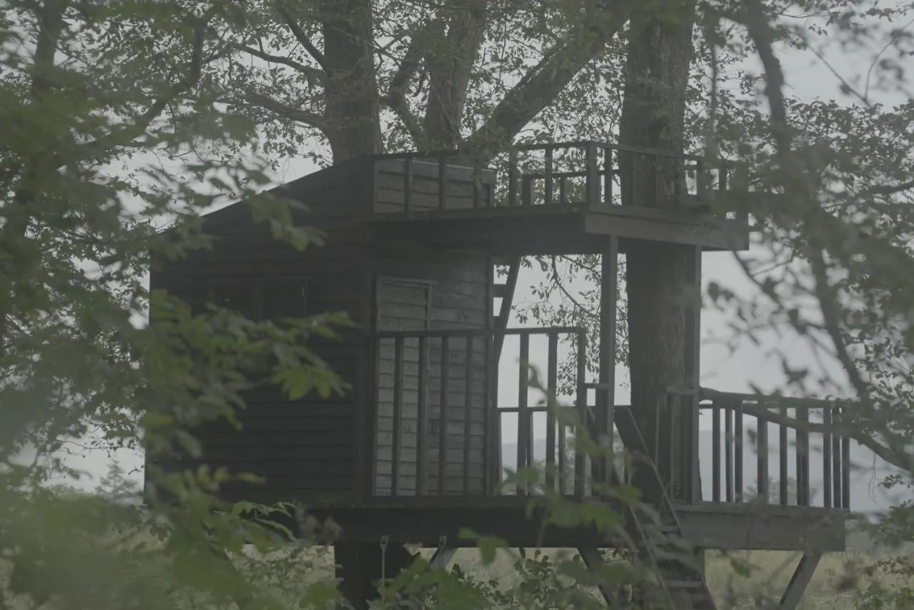 小さな森の貸し切り宿forest-House-Ranapirica Shibetsu  Guest house